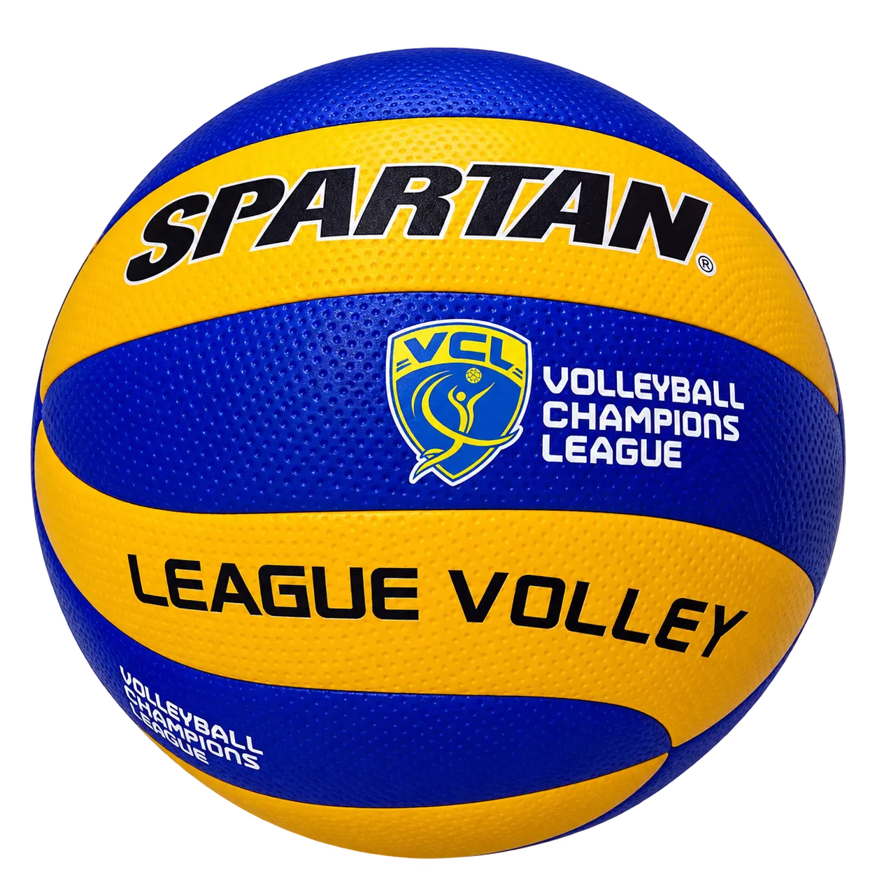 Haryana Hurricanes Volleyball